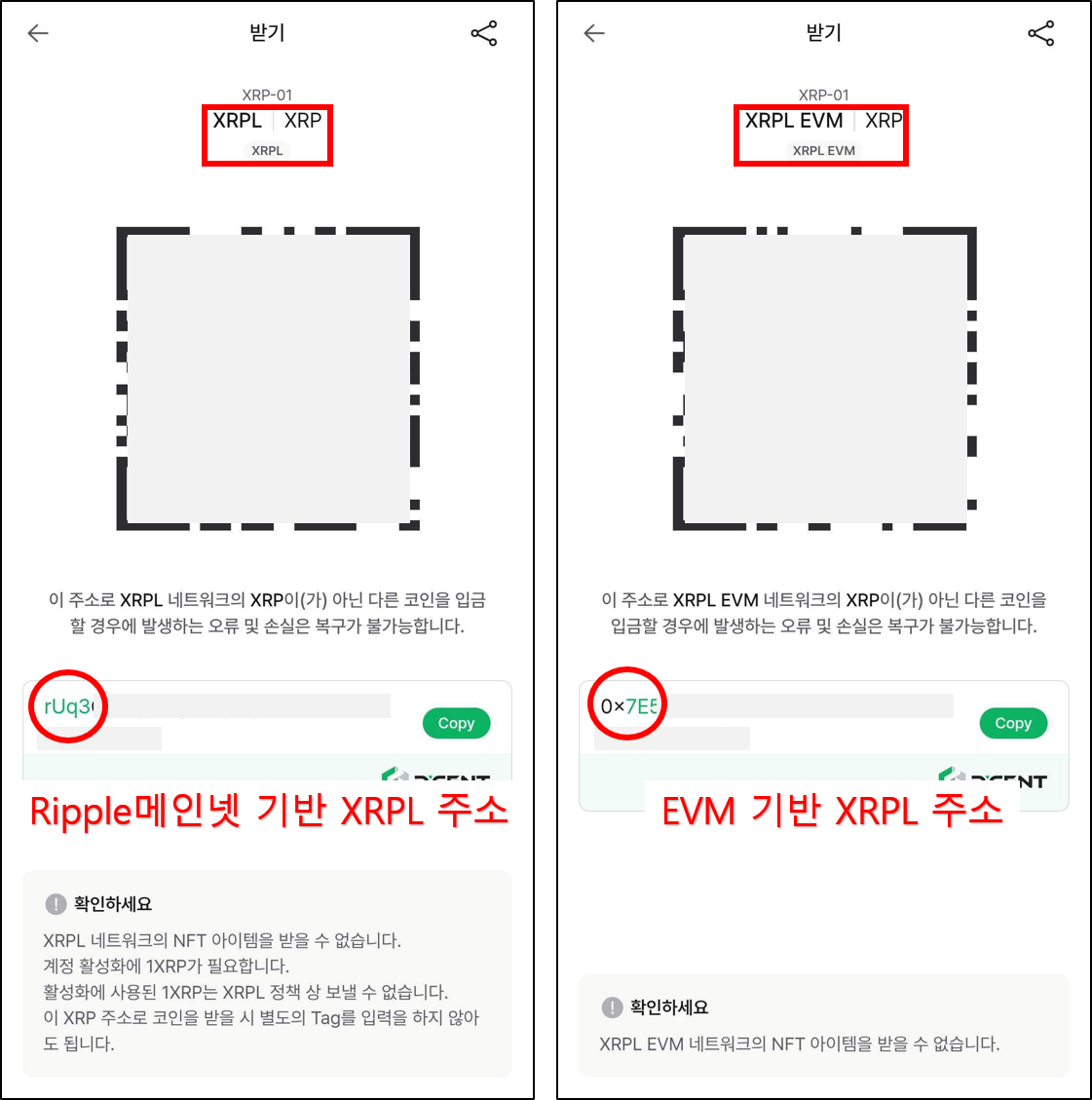 XRP 주소형식 예시.png