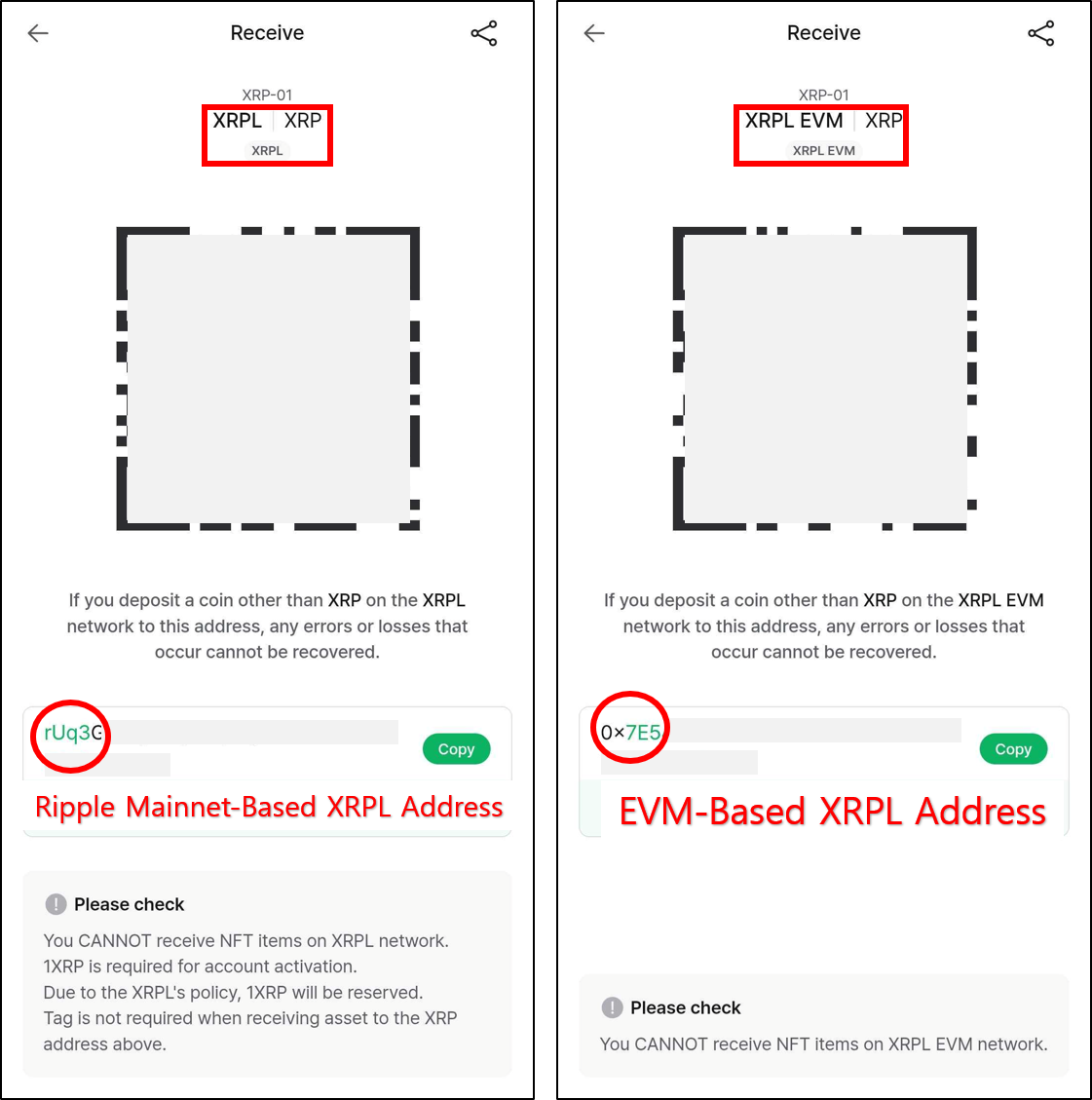 XRP address.png